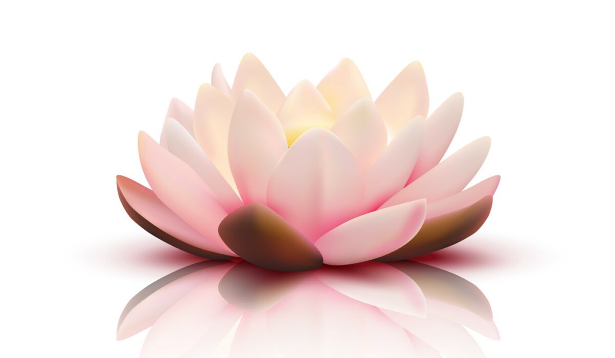 organise ton propre élément ORÉA partout en france